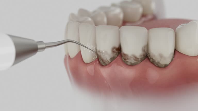 Reliable Dental contractor in Fairfax, VA by Dentist Open Now